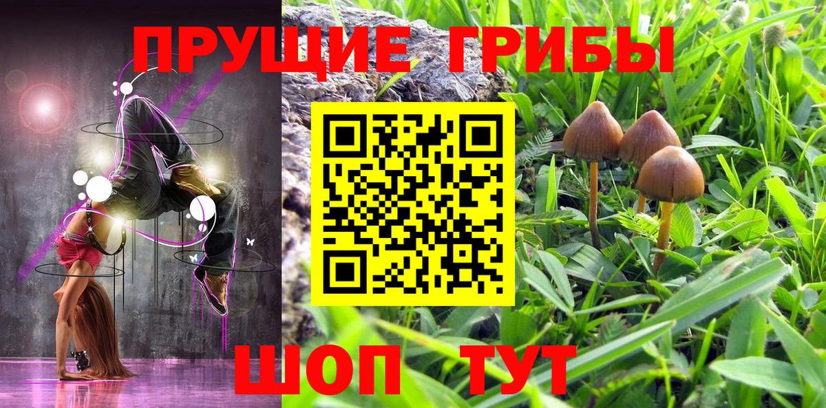Галлюциногенные грибы GOLDEN TEACHER  хочу наркоту  Магнитогорск  Вход с VPN 